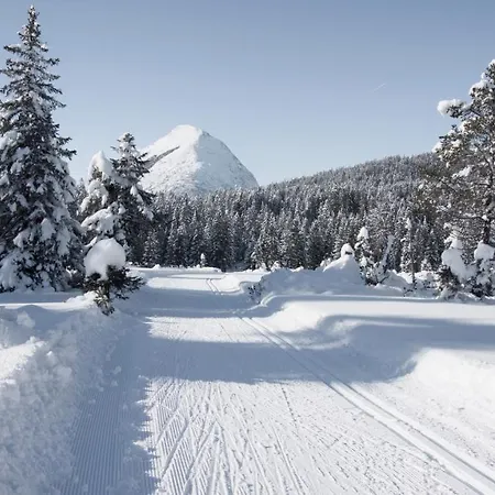 Haus Excelsior 29 * Seefeld in Tirol